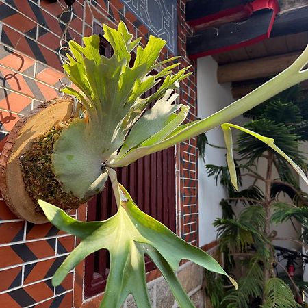 Grace Homestay 金城鎮 エクステリア 写真