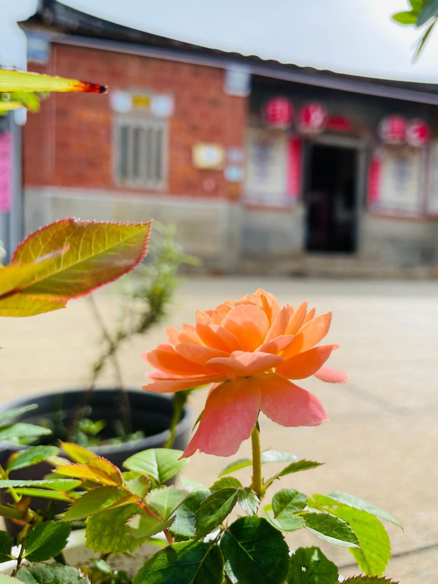 Grace Homestay 金城鎮 エクステリア 写真