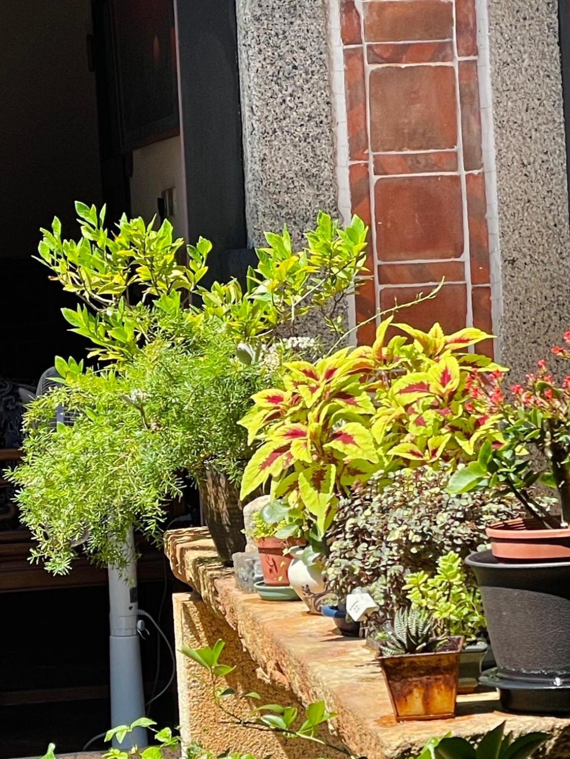 Grace Homestay 金城鎮 エクステリア 写真
